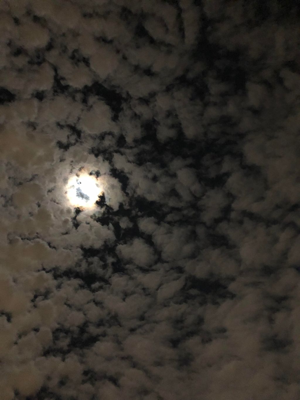 سنة الاستنارة