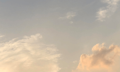 وُلِد العنقاء من&nbsp;رماده