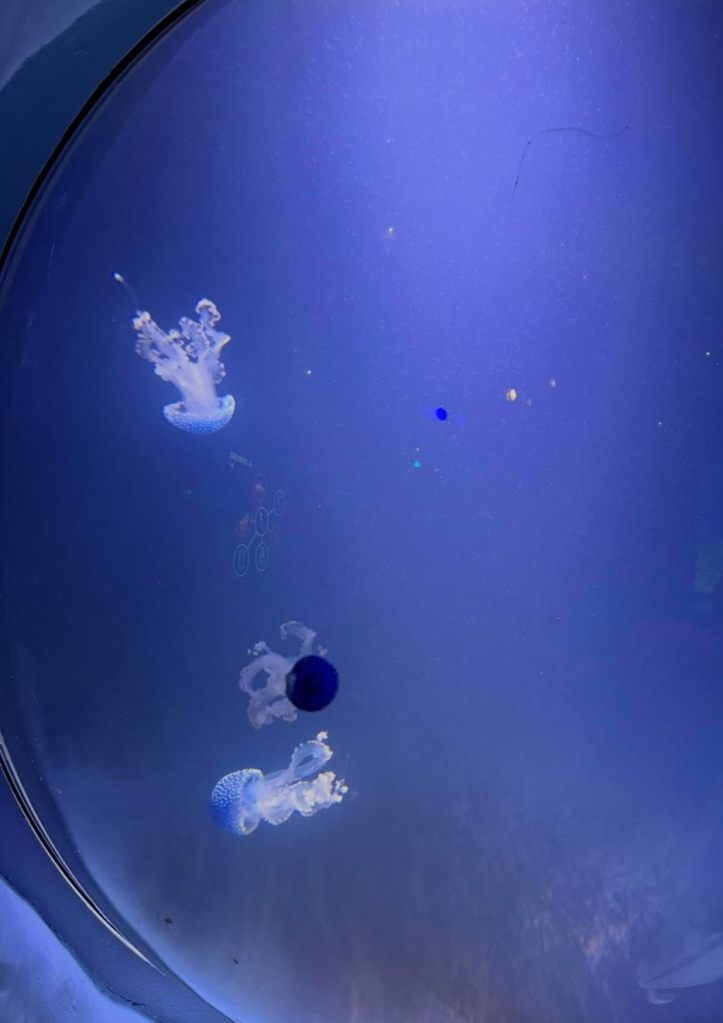 لأجل هذا خُلق السّمعُ أولاً!&nbsp;👂🎧