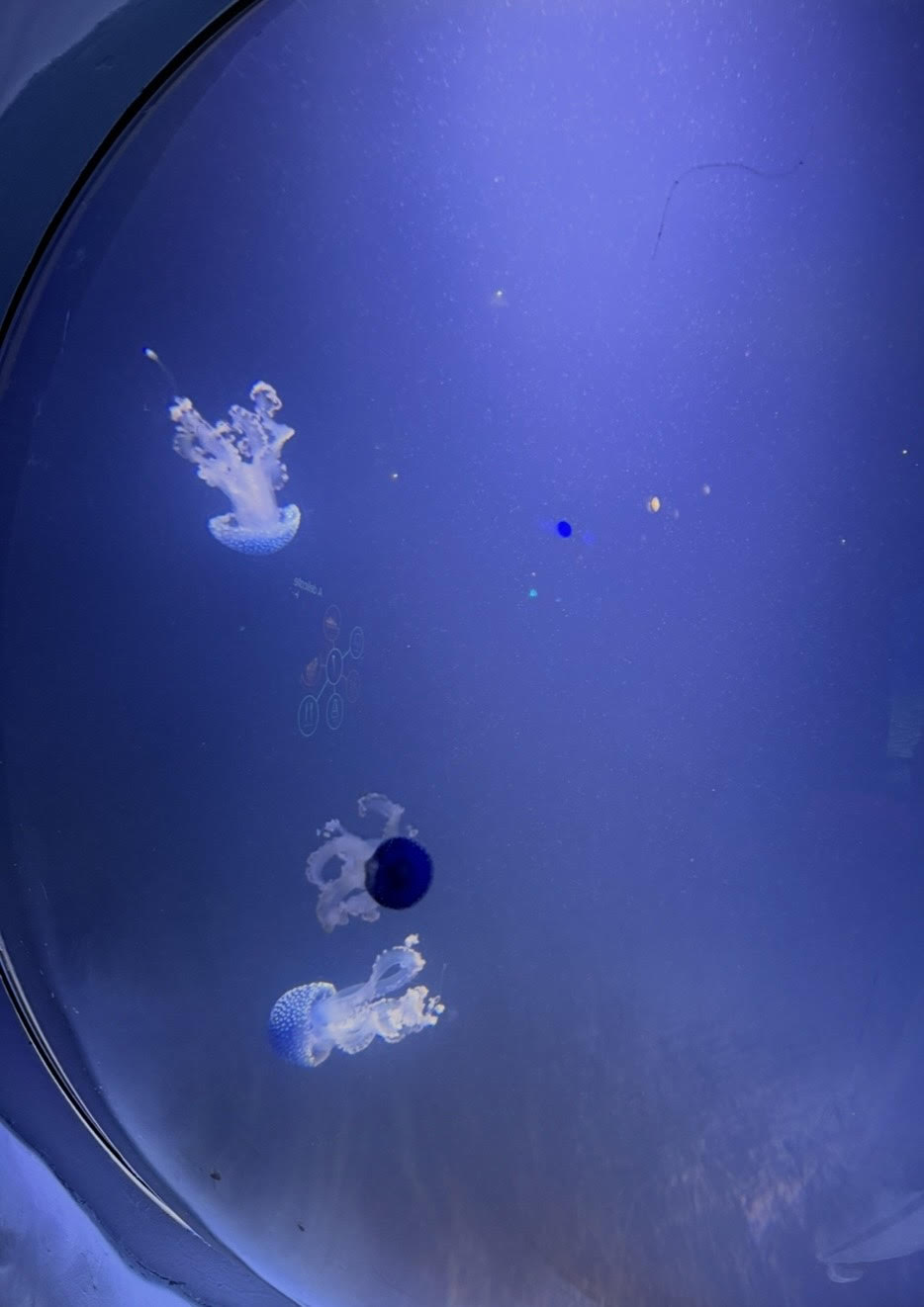 لأجل هذا خُلق السّمعُ أولاً!&nbsp;👂🎧